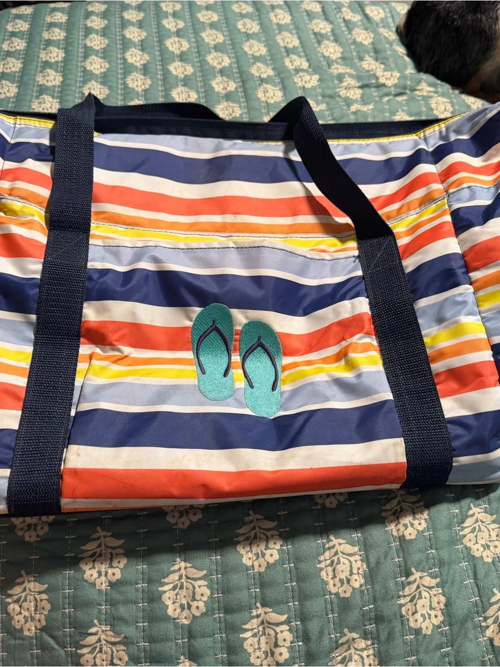 Thirty one Flip-Flop cooler Tote - Blue Striped